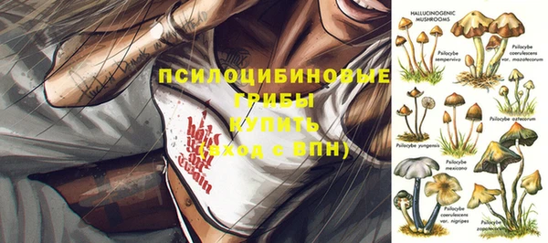 марки nbome Алзамай