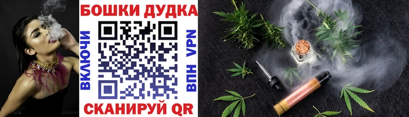 Бошки Шишки марихуана  Аргун 